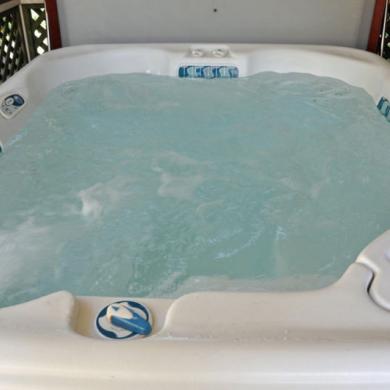 Watkins Hotspring Portable Spa / Hot Tub Prodigy Model, Fully Working P ...